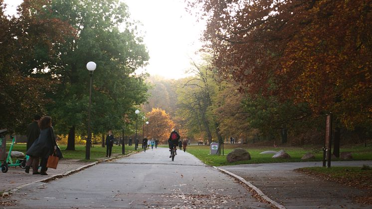 Pandemin i kombination med väder tros ha haft stor effekt på resandet med cykel, som nu ligger på 2018 års nivåer. Bild: Rebecca Havedal