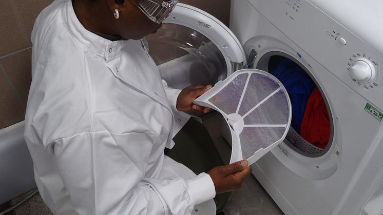 Lint filter inspection from tumble dryer studies