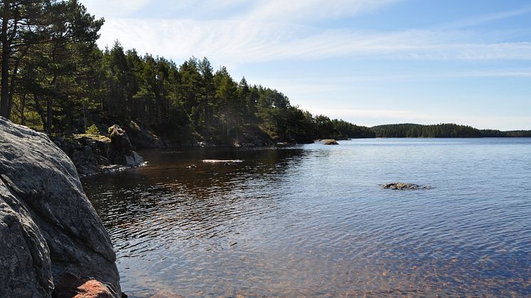 Bocksjön. Nytt naturreservat på och över gränsen mellan Sverige och Norge. Foto: Länsstyrelsen i Västra Götaland