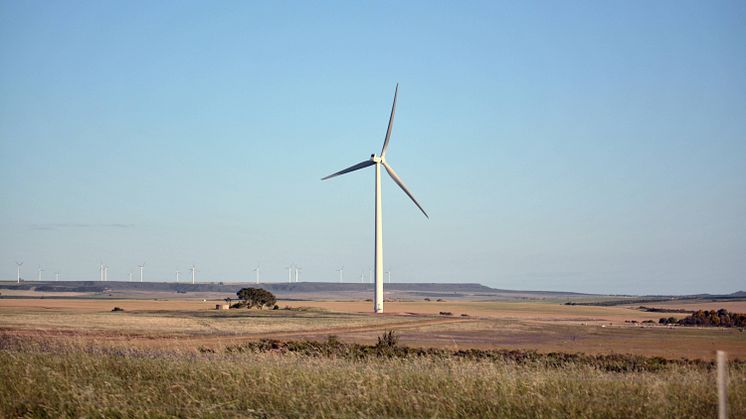 Återstart i Australien efter bränder och pandemi