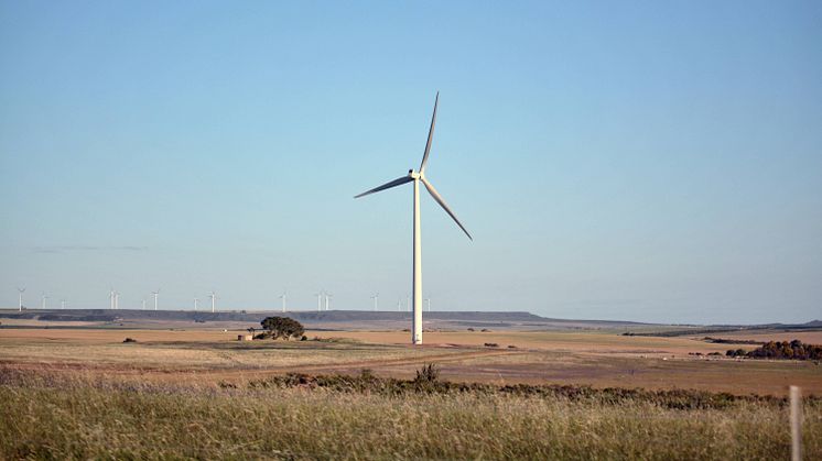 Återstart i Australien efter bränder och pandemi