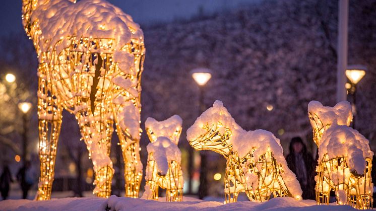 Vargfamiljen på torget kommer att tändas under veckan. Bild: MK Illumination AB