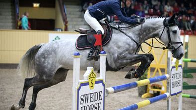 Fem sjuåriga hästar klara för Sweden International Horse Show
