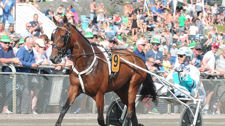 Norrlands största sportevent gästas av världens snabbaste häst