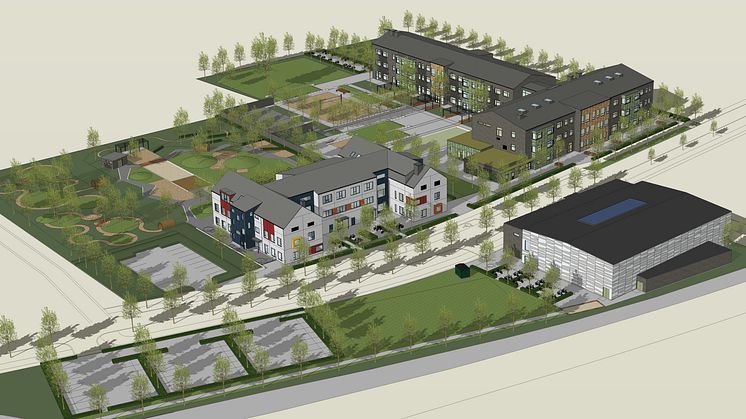 En skola, en förskola och en sporthall ska byggas i Gyllins trädgård. Illustration: Arkitektgruppen