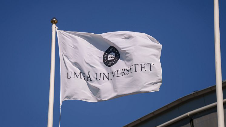 Flagga Umeå universitet - Campus Umeå