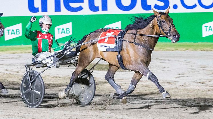 Just Believe åker hela vägen från Australien för att tävla i Elitloppet. Foto: Stuart McCormick 