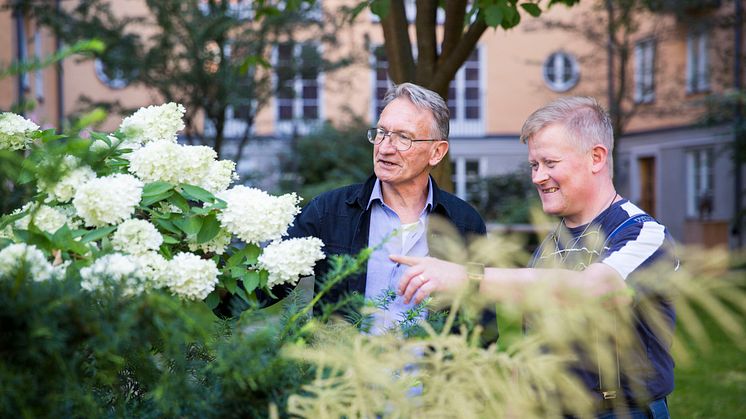 SKB är nominerad till Sveriges högsta förvaltningskvalitet. Här samverkar trädgårdstekniker och fastighetsskötare i kvarteret Tegelpråmen.