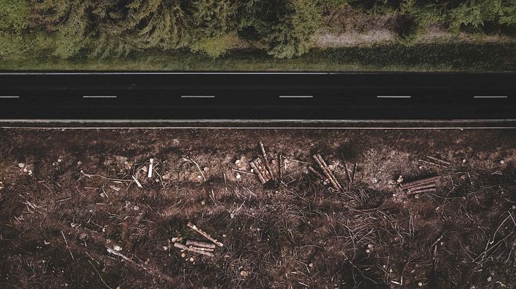 Naturen i fokus när EU-parlamentet röstar i Strasbourg