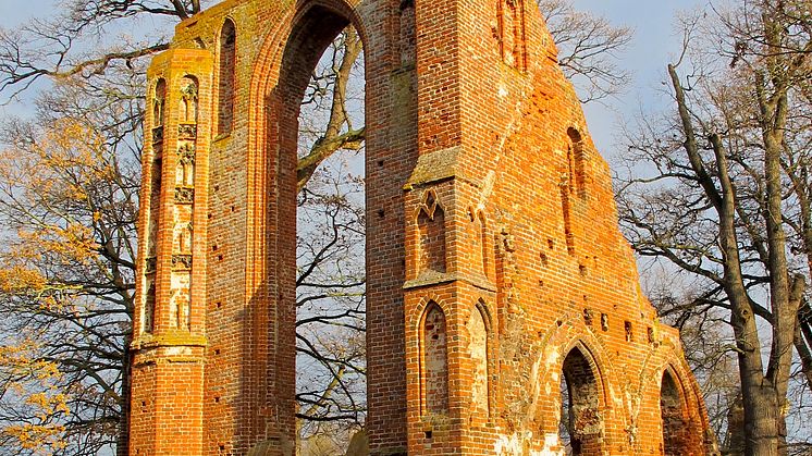 Greifswald - Eldena-ruinen