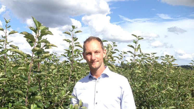 Henrk Stridh, VD för Äppelriket, berättar att det finns flera goda äppelsorter kvar i lager.