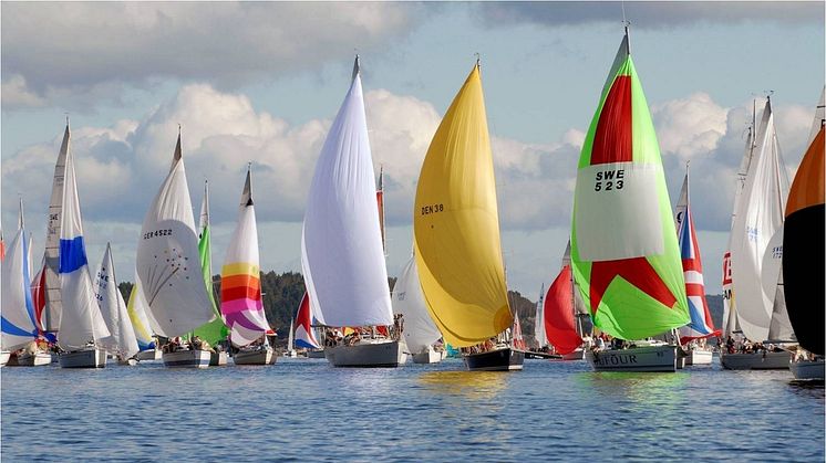 Tjörn Runt spinnaker i sol foto Åke Fredriksson