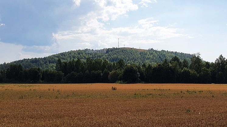 Vy över Kvarntorpshögen, där det nya verket kommer att placeras som en del av skulpturutställningen Konst på Hög.