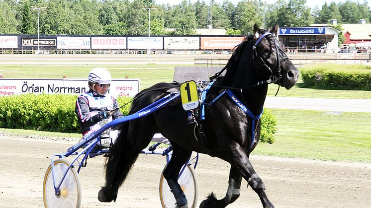 Svenskt Kallblodsderby i Östersund på fredag