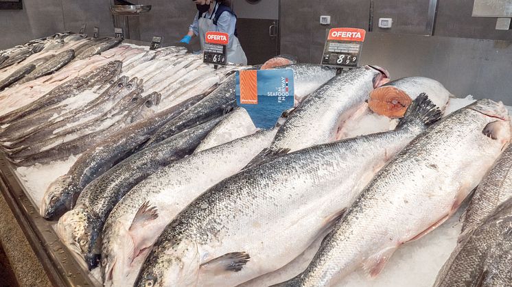 Fersk norsk laks i spansk fiskedisk