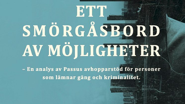 "Ett smörgåsbord av möjligheter" är en forskningsstudie av Passus avhopparverksamhet