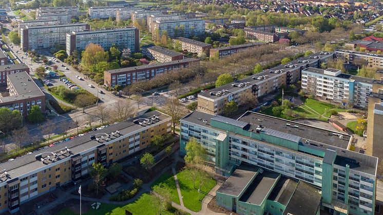 Törnrosen och Örtagården, Rosengård i Malmö