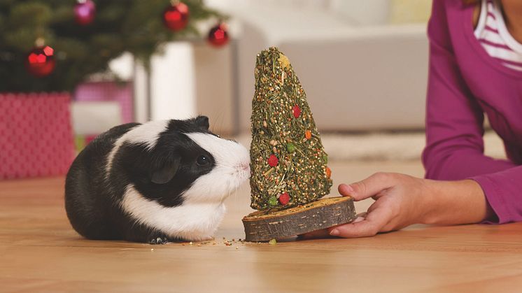 Fressnapf setzt ein Zeichen: In der Weihnachtszeit werden keine Tiere an Kunden abgegeben.