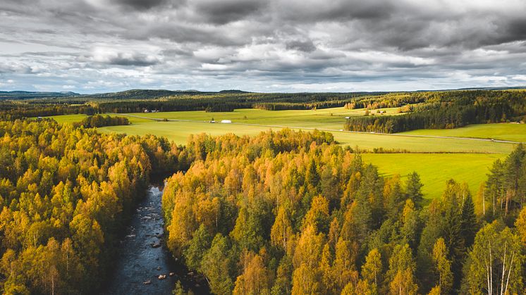 Telia fortsätter leverera till regionerna i norr