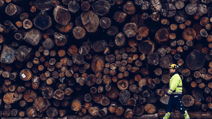 På Växjö Energi produceras värme, el och kyla av restprodukter från skogen som grenar, bark och spån.