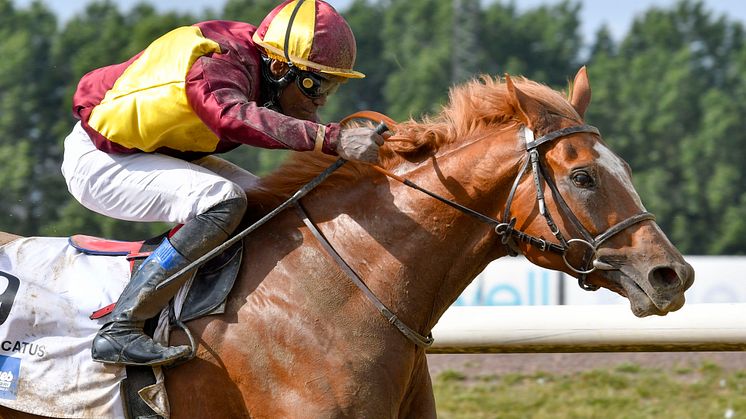 Red Cactus och  Eduardo Pedroza vinner Svenskt Derby 2019. Foto: Stefan Olsson/Svensk Galopp