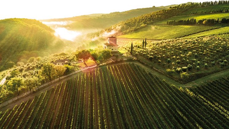 Castello di Albola - Zonin