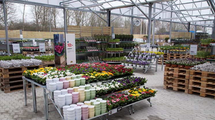 Nu öppnar flera av butikerna upp sin trädgårdsmarknad så att du som kund kan välja att hålla dig utomhus. (Bilden är tagen vid ett tidigare tillfälle.)