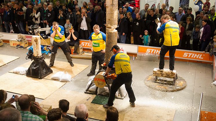 STIHL Timbersports intar Hektar Live!