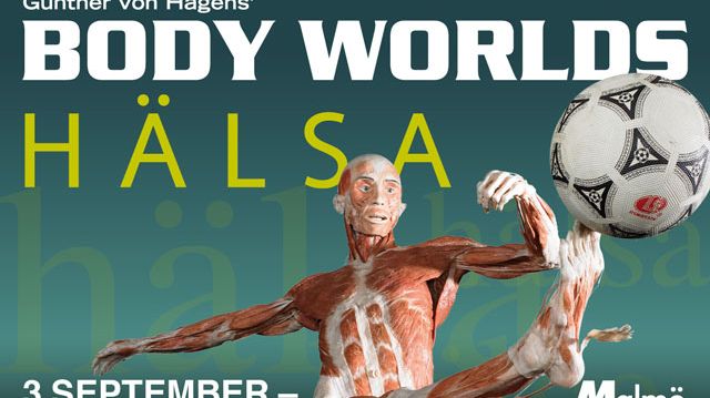 Varmt välkommen på pressvisning av utställningen Body Worlds Hälsa!