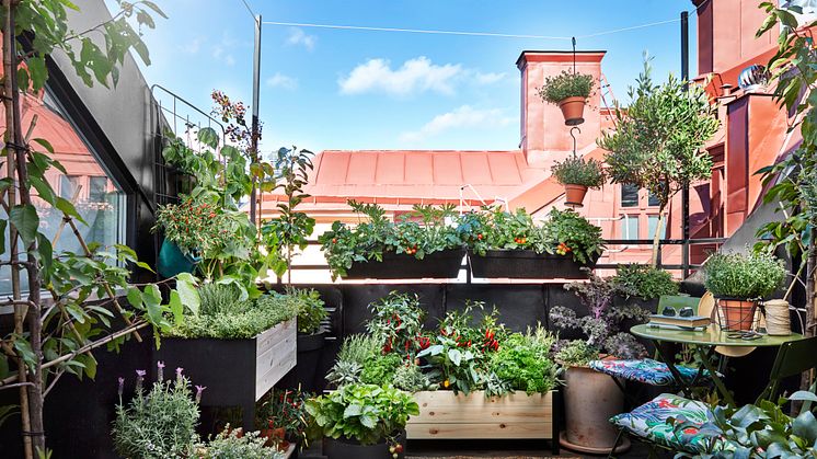 Drömmar om vårens första strålar och gröna blad. Exempel på balkongodling med Cultura odlingslåda som är en stilren och stabil odlingslåda för balkong eller terrass.