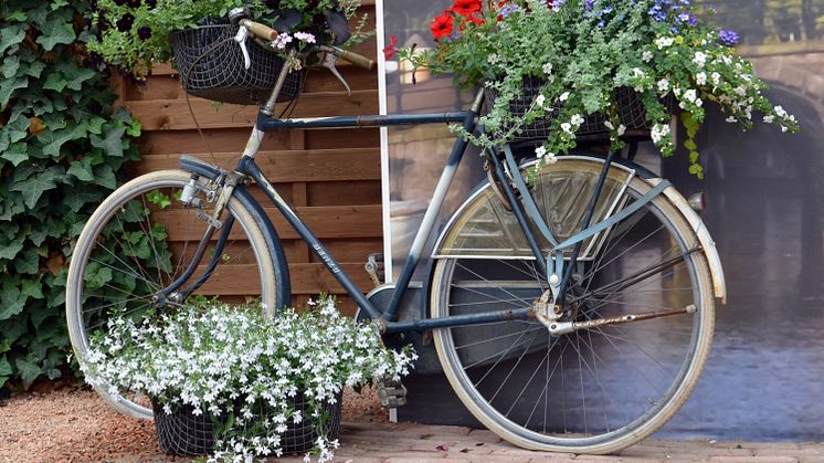 Blomstrande cykel