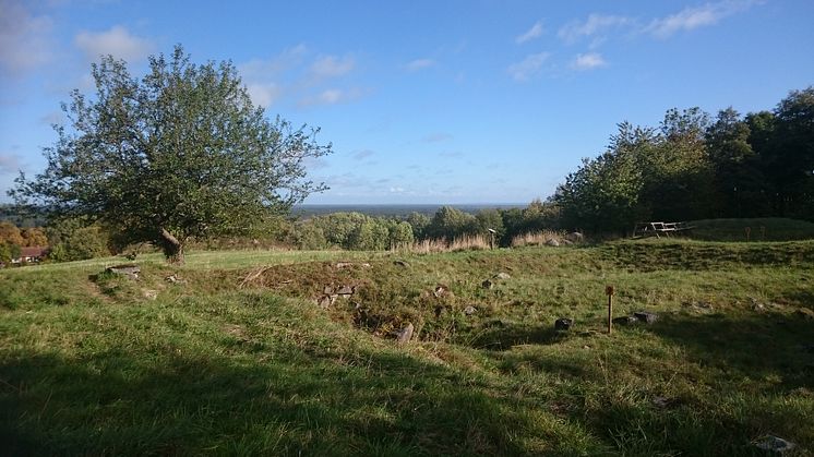 Naturreservatet Lena borg i Kungslena, Tidaholms kommun. Foto: Länsstyrelsen i Västra Götaland