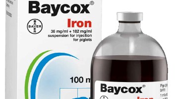 Baycox®Iron – en ny kombi-injektion mot järnbrist och koccidios hos smågris