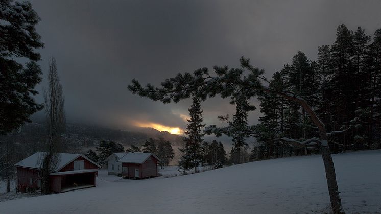 Fra Werner Zelliens bildefrise Utøya (2012)