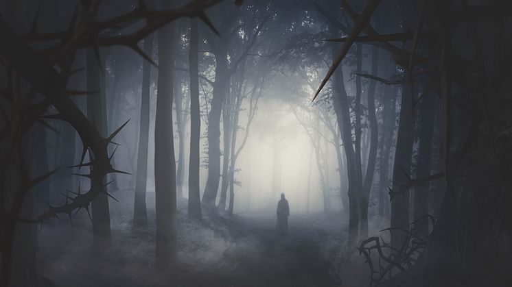 Nyhet Halloween på Liseberg 2019: Skogen