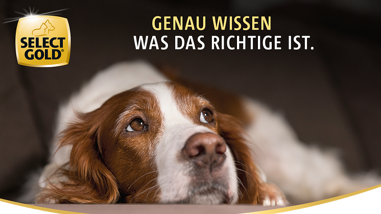 SELECT GOLD verbessert Rezepturen im Complete-Sortiment  - XS-Range als neues Ernährungskonzept für sehr kleine Hunde