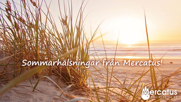 Sommarhälsningar från Mercatus