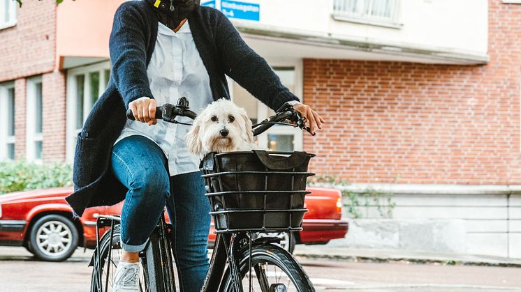 Ecoride återigen på prispallen i Aftonbladets elcykeltest