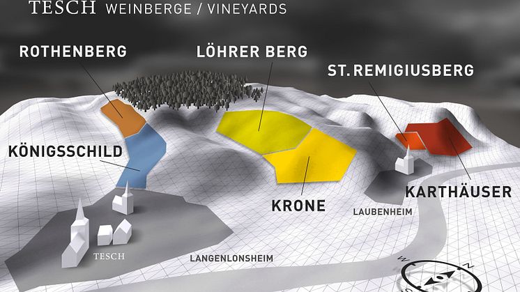 2020 Riesling Königsschild från Tesch - rik och kraftfull Riesling med toppbetyg