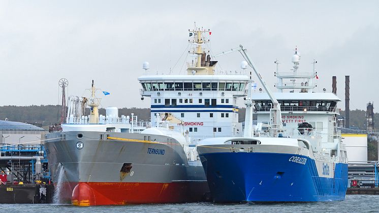 A ship-to-ship bunkering of LNG is carried out in the port of Gothenburg between Coralius and Ternsund. They can also be carried out while loading and unloading is in progress. Photo: Gothenburg Port Authority.