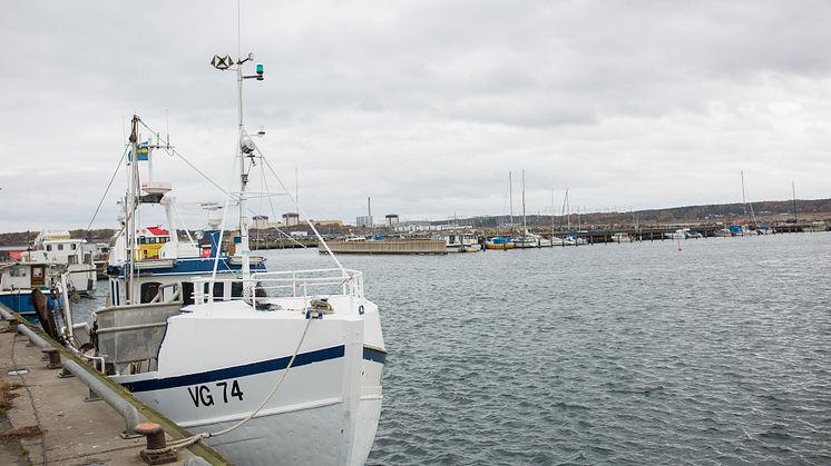 Fiskebåt i hamn