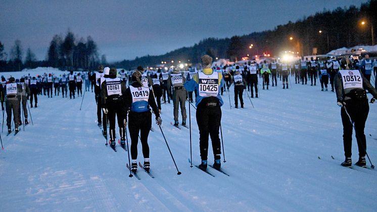 Försvarsmaktsvasan 2024