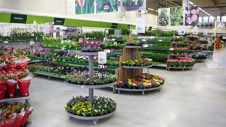 Blomsterlandet fortsätter sin expansion – ny butik i Kungsbacka 