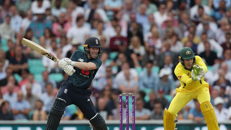 Eoin Morgan cuts the ball for four as Australia's Tim Paine looks on. (Image by Getty)