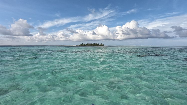 ‘Superhero’ seagrass meadows produce sand that may protect coral reef islands from sea-level rise