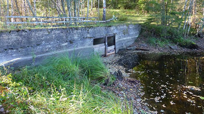 Gretjärnsdammen i Naturreservatet Öjenäsbäcken ska rivas