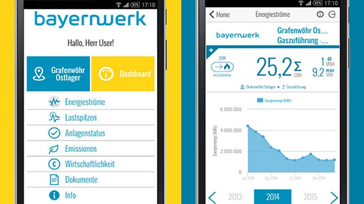 Pulsmesser für dezentrale Kleinkraftwerke