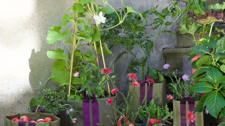 Nytt sortiment för stadsodling på Blomsterlandet