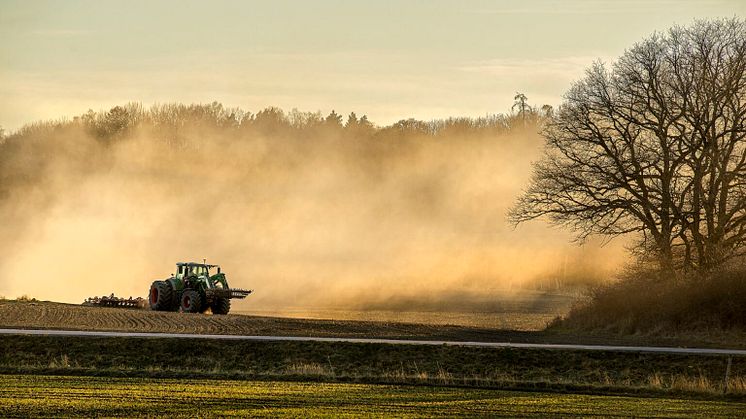 Foto: Kjell Gustafsson, vinnare månadens bild maj 2023, motto: vårtecken