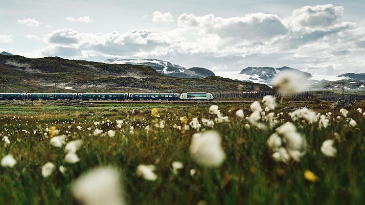 Bergensbanen_og_myrull_VY_03447_Foto_Oivind_Haug